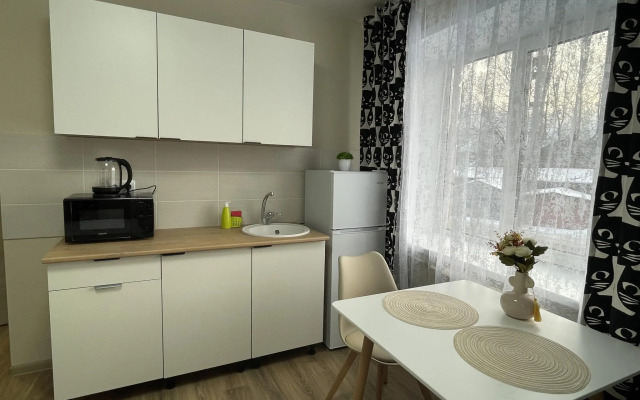 Apartment Svetlana on Ulagasheva street