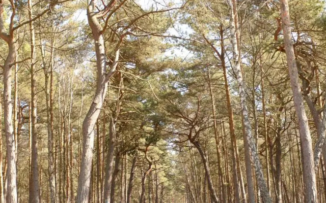 Apartamenty Villa Fiori