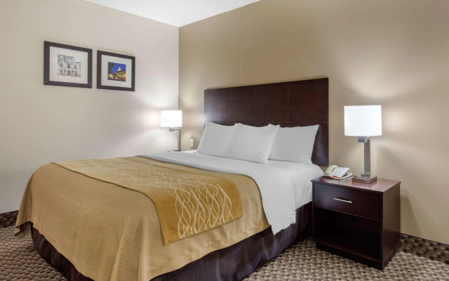 Comfort Inn Horn Lake - Southaven