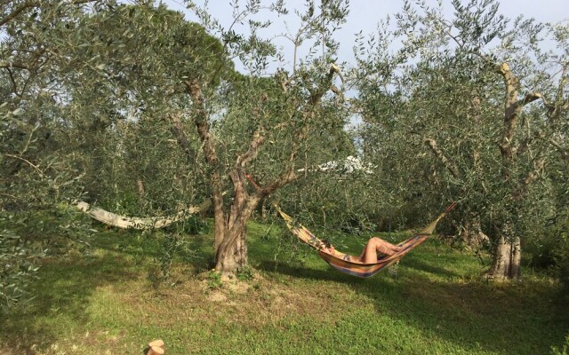 Tuscan Sun Villa