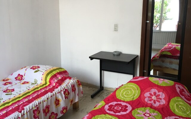 Green House Hostal - Hostel