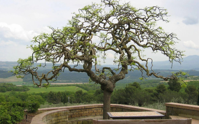 Fattoria Nuova Pievanella