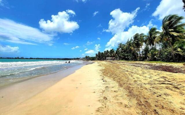 Peaceful ocean front home near Rainforest & rivers 102