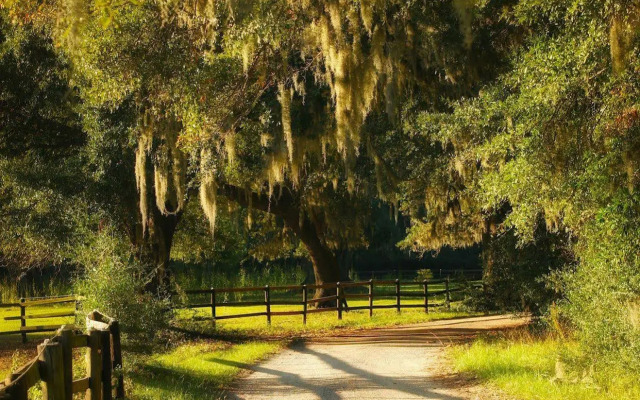 The Inn At Middleton Place