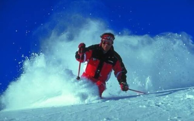 Aparthaus Birkenheim