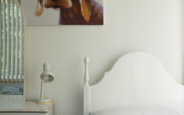 Rocky Point - pet friendly accommodation for multiple families
