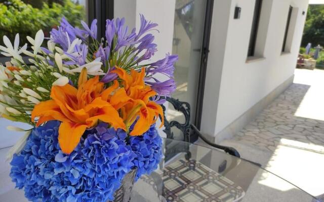 Casa Raiz Ponte de Lima