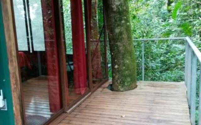 The Green Tree Lodge