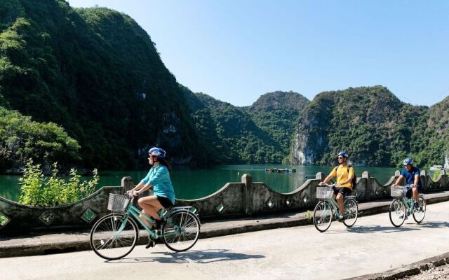 Indochine Cruise Lan Ha Bay