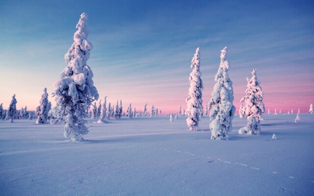 Utsjoki Arctic Resort