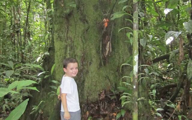 Friends of The Amazon Jungle Lodge