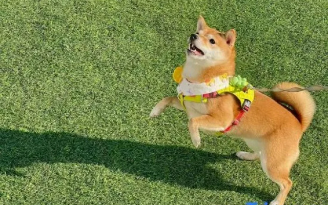 Villa-BlueTree Boutique Guesthouse