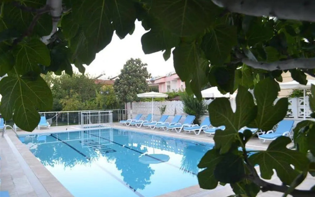 MAVi HOTEL