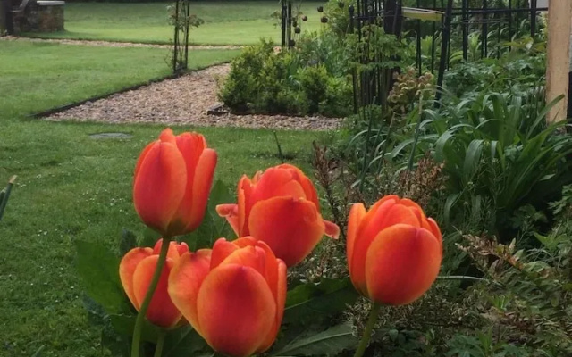 Woodacre B&B