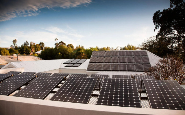 The Queen of Calitzdorp