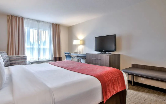Comfort Inn & Suites Airport South