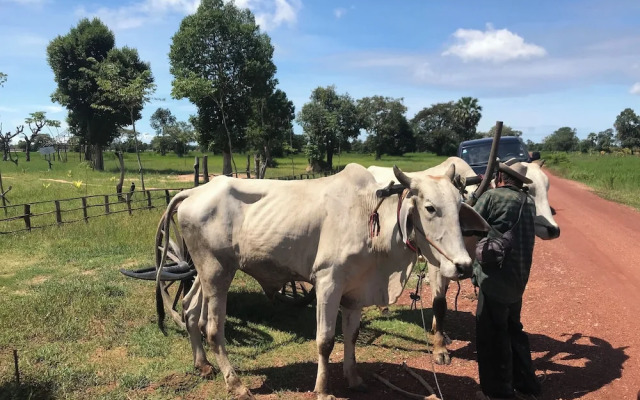 Madam Sokha Homesteading