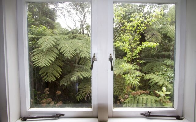 Fern Lodge Coromandel