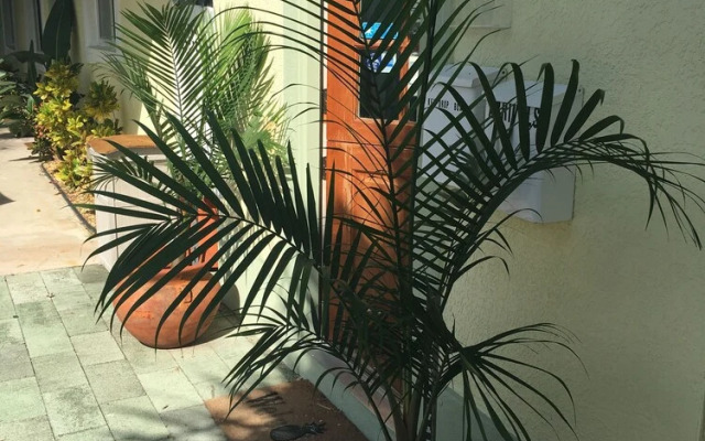 Palm Tree Villas