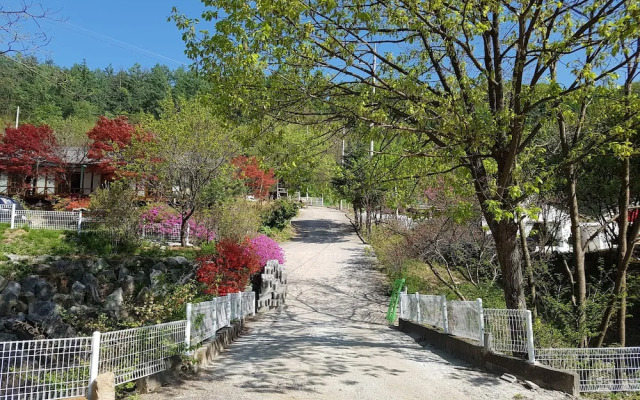 Hwaya Mountain Pension
