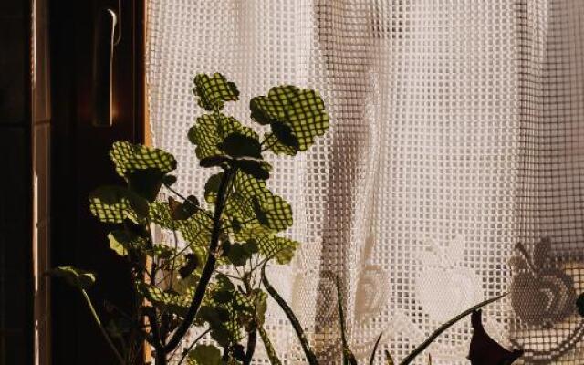 Pensiune Agroturistica Hanna