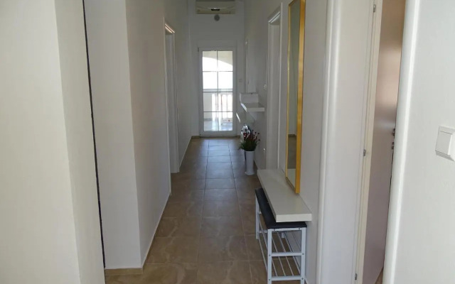 Apartmani David