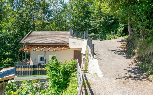 Alpine Holiday Home in Bramberg am Wildkogel with Garden