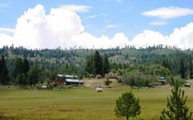 4D Longhorn Guest Ranch