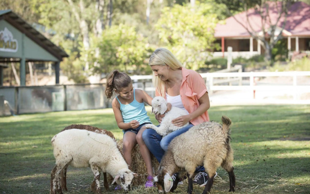 Paradise Country Farmstay