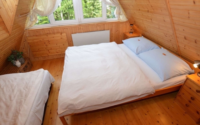 Nice Holiday Home With Fireplace in the Ore Mountains Near the Chairlift