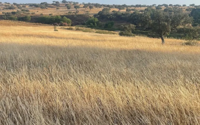 uma casa em entradas Guesthouse Alentejo