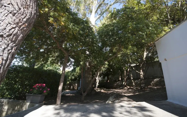 Villa Flora Studios & Apartments