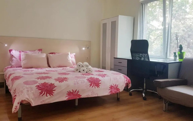 Malavi top center studio Ruse! Comfort&clean!