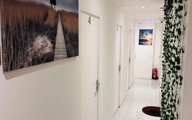 DSV Property