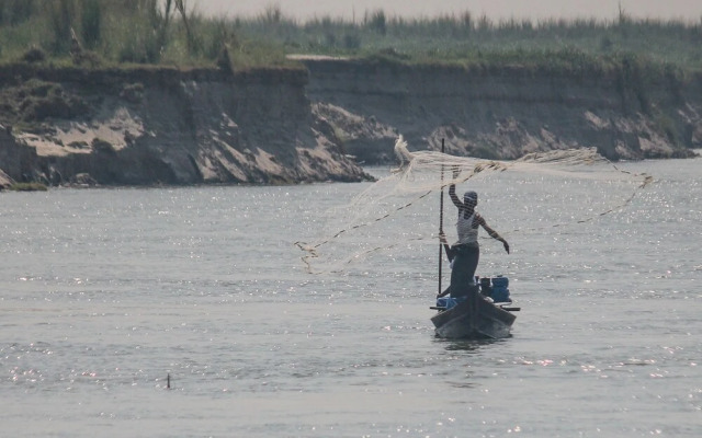 Living Irrawaddy Dolphin Project