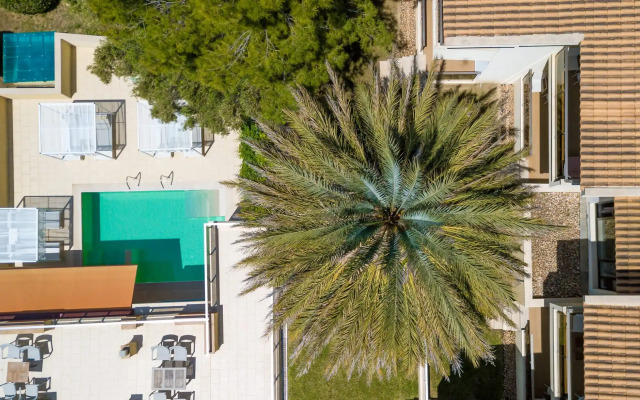 Greek Pride Cronwell Rahoni