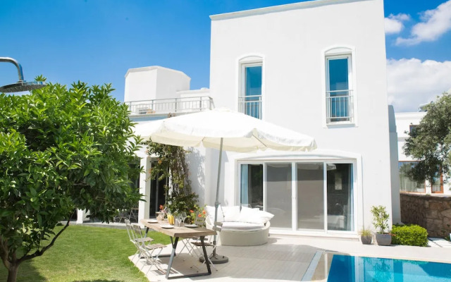 Important Group Villa Olivia