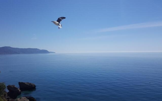 Carabeo Vista Mar