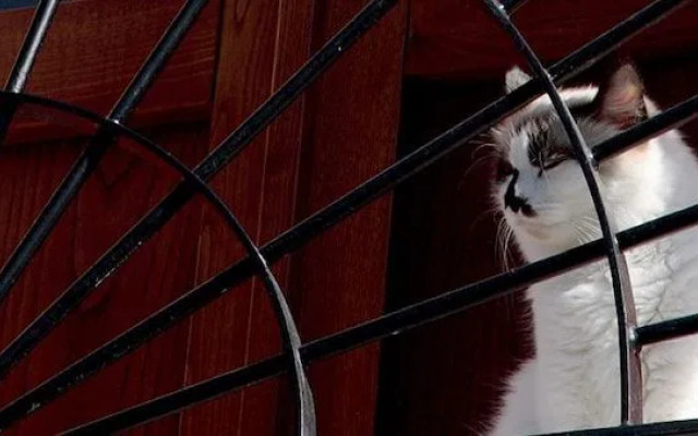 Antica Casa Pasolini