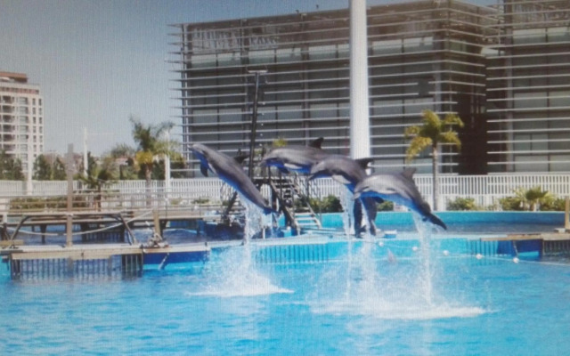 Apartamento Jardín de Ayora