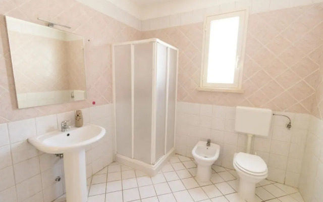 B&B Tarantola