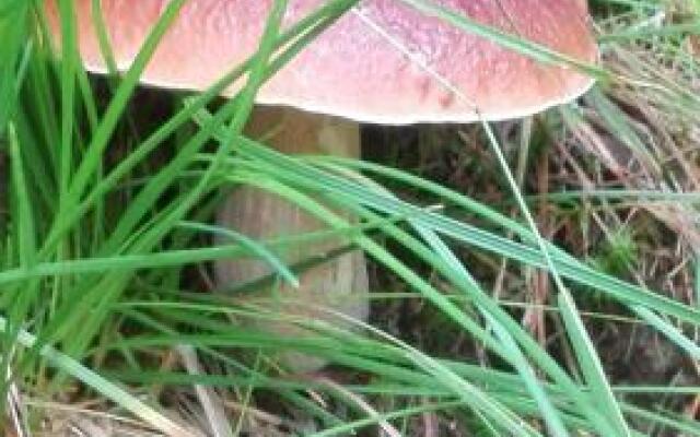 Apartmán 302 Oščadnica