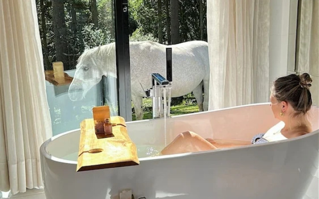 Morada Reino Encantado