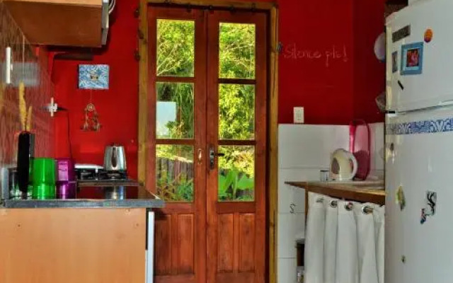 Wood Cabin into the Wild