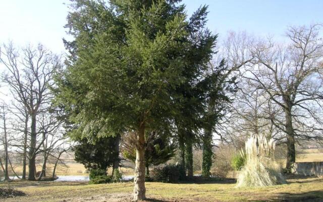 Gîte Dompierre-sur-Besbre, 3 pièces, 4 personnes - FR-1-489-174