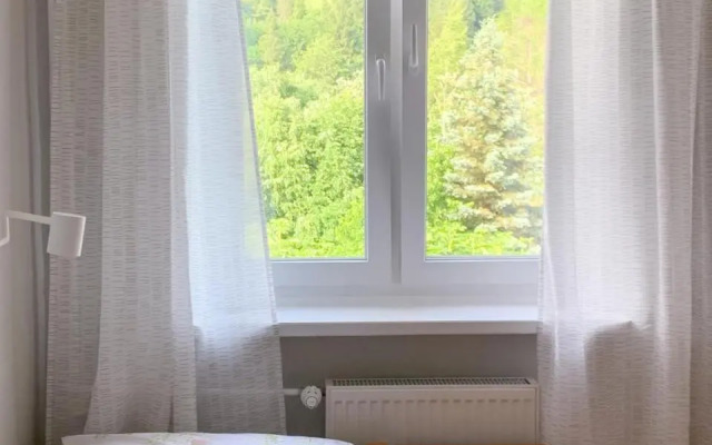 Między górami. Apartament w Cisnej