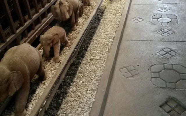 Innlhong Home Lampang