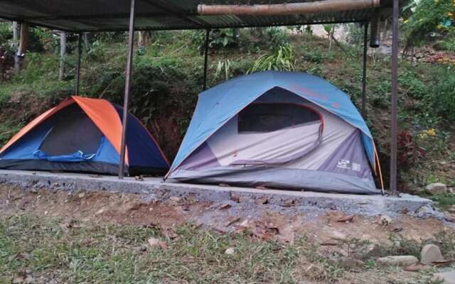 Peace Guest House