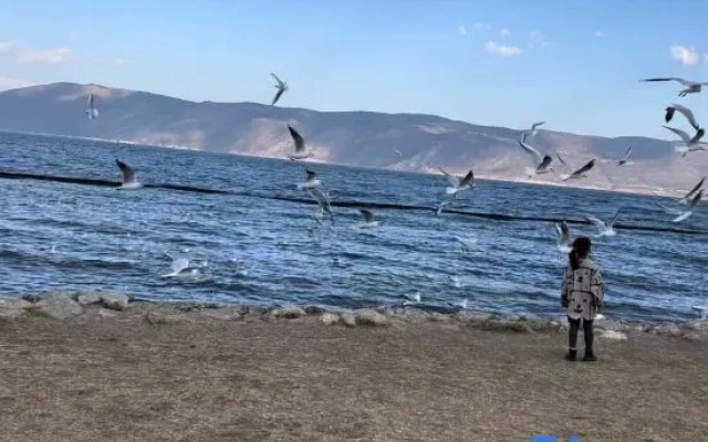 Simmering Life Courtyard