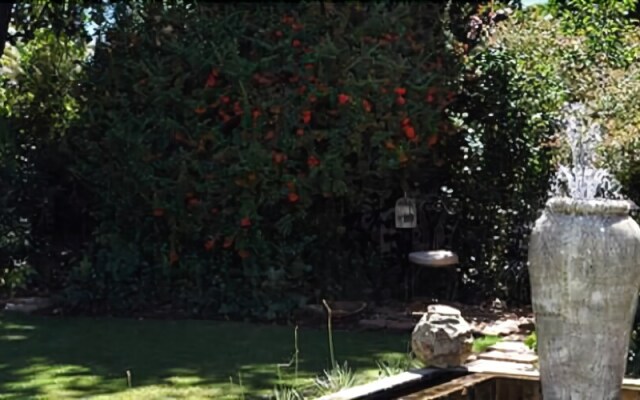 Woodpecker Guesthouse